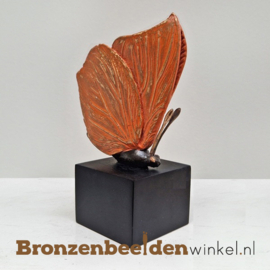 Asbeeldje vlinder in kleur BBW85524