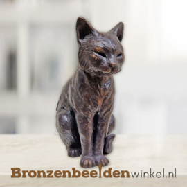 Beeld zittende kat BBW1402br