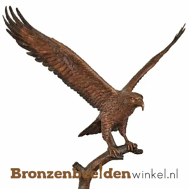 Tuinbeeld vliegende arend in brons BBW1555br