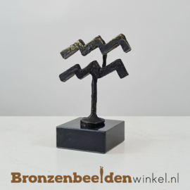 Geboortegeschenk  ''Sterrenbeeldje Waterman'' BBW23pb27