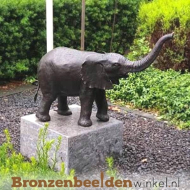 Waterornament tuin idee ''Bronzen olifant'' BBW753