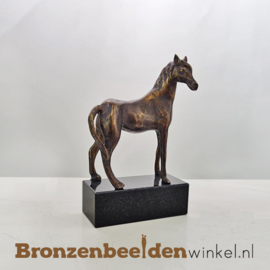 Paarden cadeautje BBWFHPB5