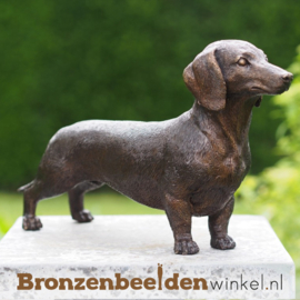 Beeld Teckel brons 1387br