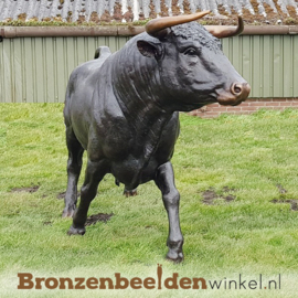 Levensgrote bronzen stier beeld BBW76345