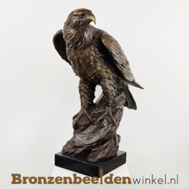 Bronzen adelaar beeld BBW00YYbr17