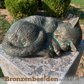 Bronzen slapende kat beeld BBWR89020