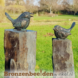 Tuinbeeld vogels op sokkels BBW80012