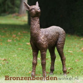 Bronzen Alpaca beeld BBW1413br