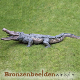 Bronzen krokodil beeld BBWB845