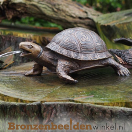 Bronzen beeld schildpad BBWAN3392br