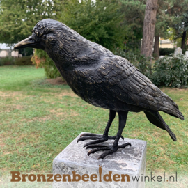 Bronzen kraai beeld BBWR88413