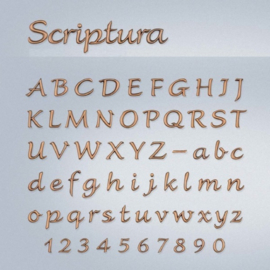 Bronzen letters Scriptura