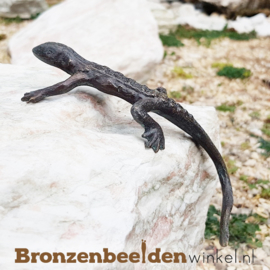 Dierenbeeldje ''Hagedis'' BBWR88108