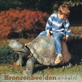 Beeld reuzenschildpad in brons BBW87058