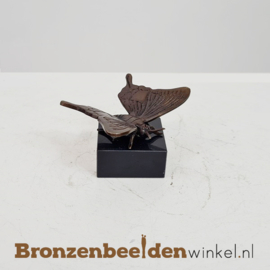 NR 1 | Vlinder cadeau ''vlindertje van brons'' BBW0999br