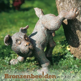 Honden beeldje plassend BBW87075