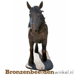 Beeld trekpaard in brons BBW1488br