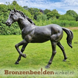 Beeld paard in brons BBW1001a