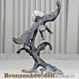 Witkop adelaar beeld in brons BBW81066br