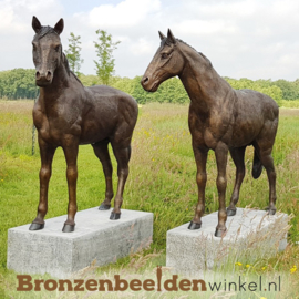 NR 4 | Bronzen paarden beelden als blijvende herinnering BBW1309