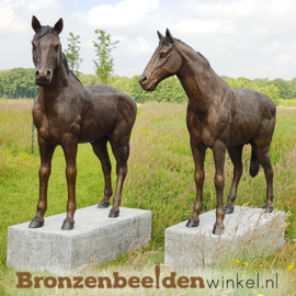 Twee bronzen paarden beelden BBW1309