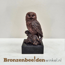 Uil beeldje van brons BBW1513br