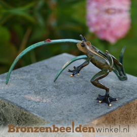 Bronzen kikker BBW1736BR