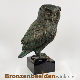 NR 6 | Afscheidscadeau werknemer ''Wijze uil''  BBWR98002