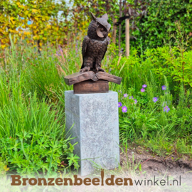 Beeld uil op boek in brons BBW94533br