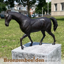 Paardenbeeldje brons BBW1172br