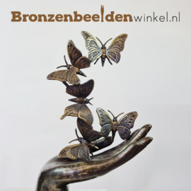 NR 6 | Vlinder cadeau ''Beeld handen met vlinders'' BBW4446