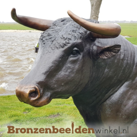 Sterrenbeeld cadeau ''Levensgrote bronzen stier'' BBW76345