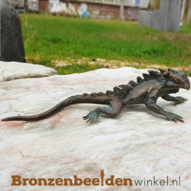 Bronzen leguaan beeldje BBWR90326