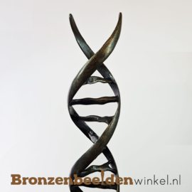 Beeld voor in huis "DNA Streng" BBW2734br