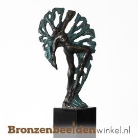 Sculptuur "Ontwikkeling" BBW004br64