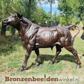 Groot bronzen stieren beeld BBW96999