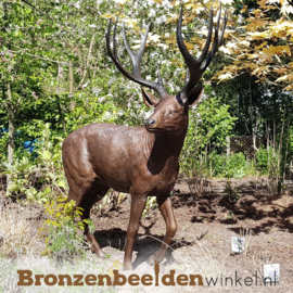NR 2 | Kado voor jager ''Bronzen hert'' BBW837