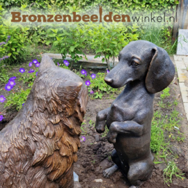 Bronzen kat en hond beeld "De Twee Vriendjes" BBW1459-1464