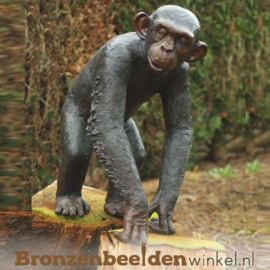 Bronzen beeld aap BBWB59265