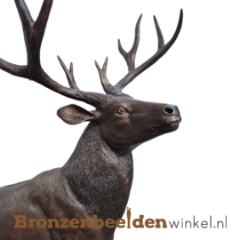 Groot hert beeld BBW1504-1