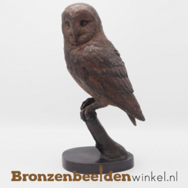 Bronzen beeld uil op tak BBW1428br