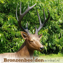 NR 6 | Cadeau man 50 jaar ''Bronzen beeld hert mannelijk'' BBW971