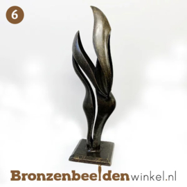 NR 6 | 1 jaar getrouwd cadeau  "Verbondenheid" BBW2235br