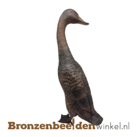 Bronzen eend met lange nek BBW1517br