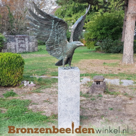 Bronzen zeearend beeld BBWR88859