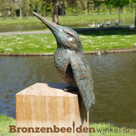 Bronzen ijsvogel beeldje BBW88321