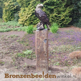 Bronzen witkop adelaar tuinbeeld BBW55956