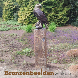 Bronzen Amerikaanse zeearend op rots BBW55956