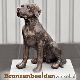 Bronzen labrador beeld BBW37228