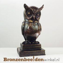 Beeld Wijze Uil op boeken BBW033br03